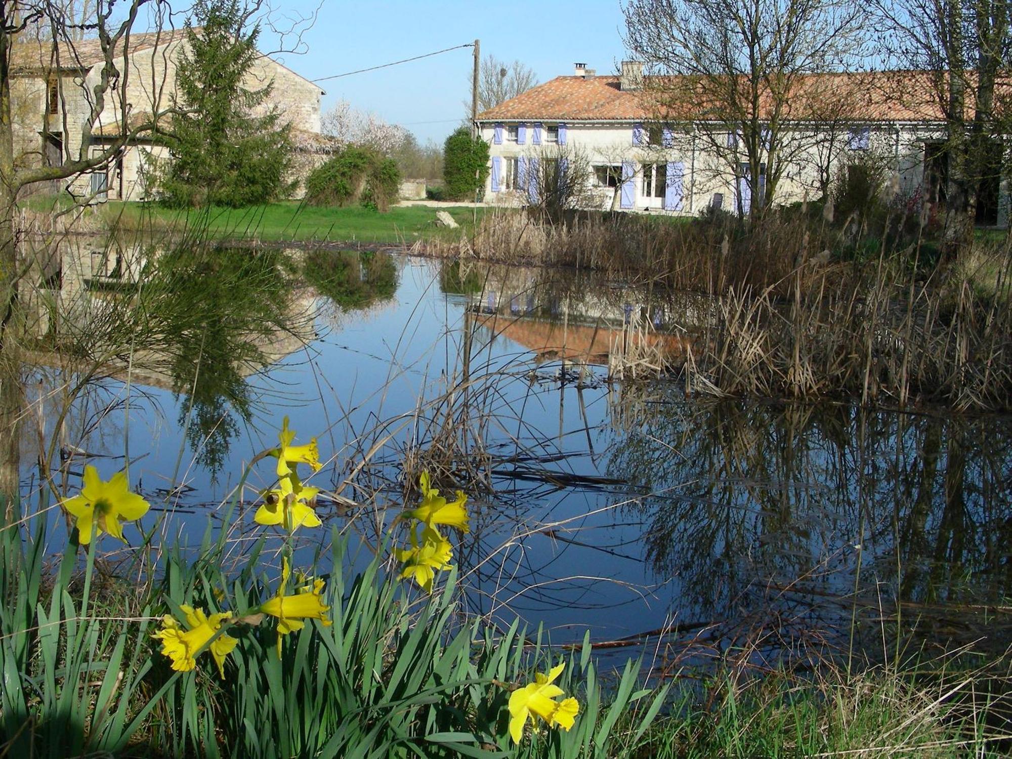Chambres D'Hotes Entre Niort Et Marais Poitevin Bessines 外观 照片